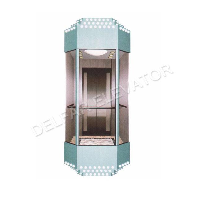 Индивидуальный обзорный лифт Delfar 